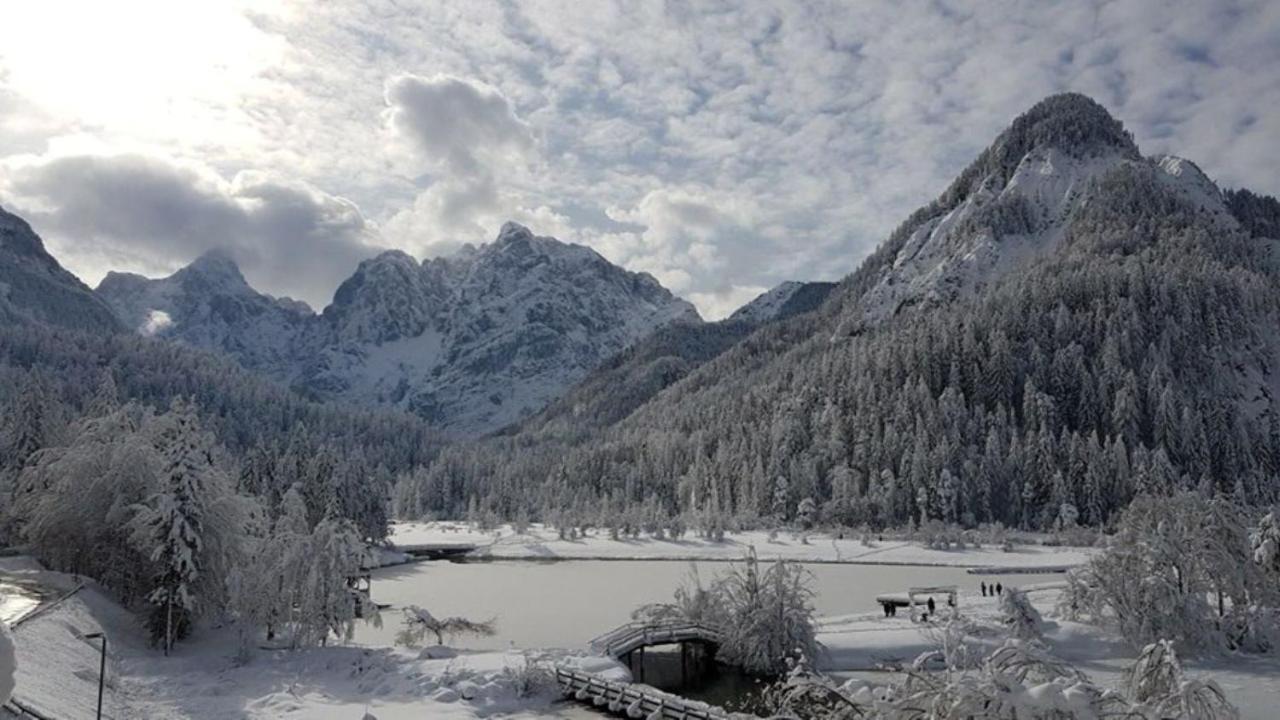 Apartment Crystal Rose Kranjska Gora Exteriör bild